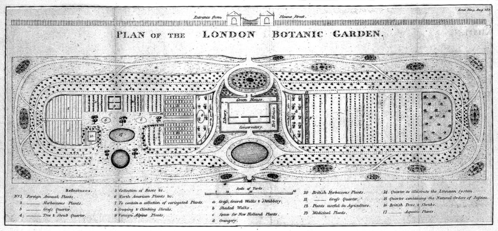 The Physic Garden, Chelsea: a plan