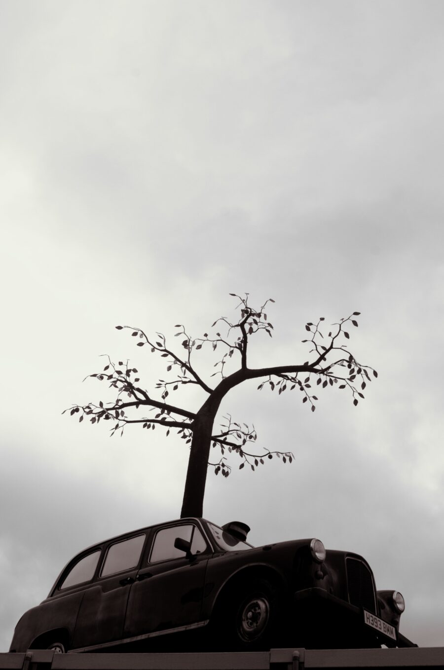 Andrew Baldwin's Cab Tree at Trinity Buoy Wharf, London